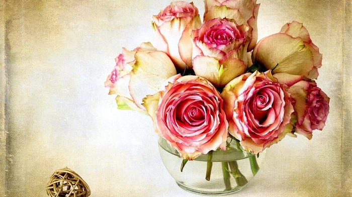 rose, flowers, flower, vase, roses