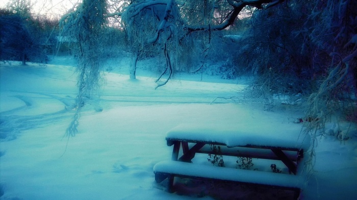 snow, trees, bench, motion blur, park, winter