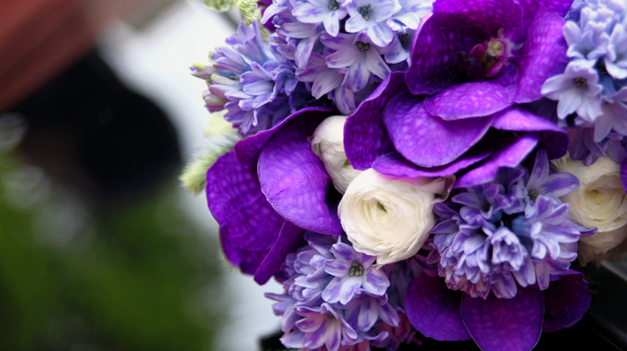 flowers, bouquet, white