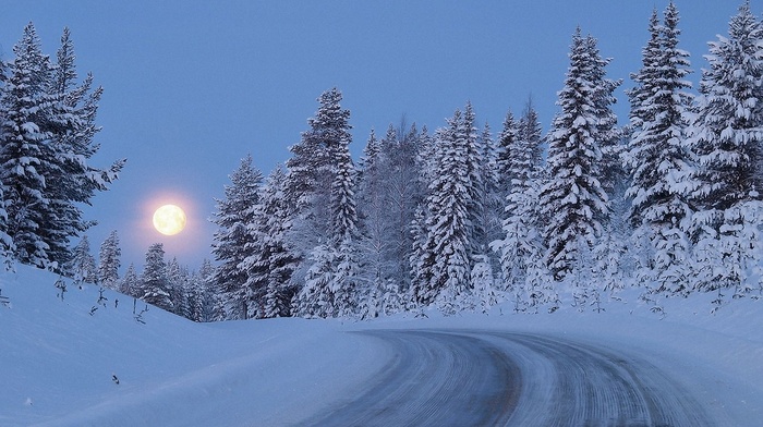 road, moon, trees, snow, winter, forest