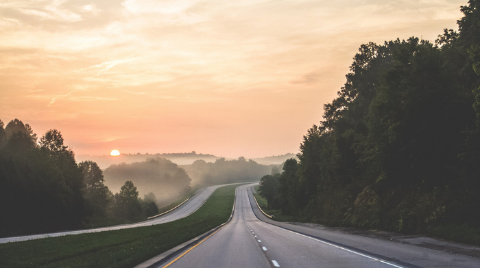 nature, Sun, trees, sky, mist, road