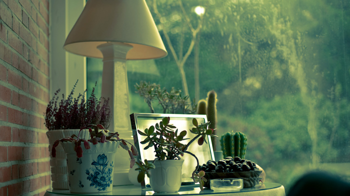 girl, house, plants