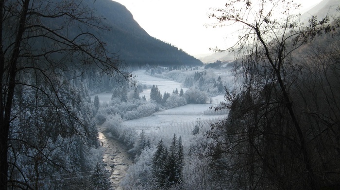 trees, snow, mountain, winter