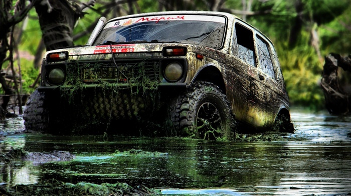 cars