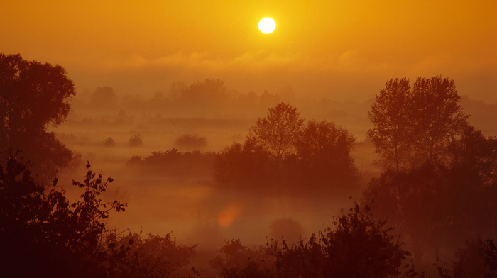 sunset, autumn, mist