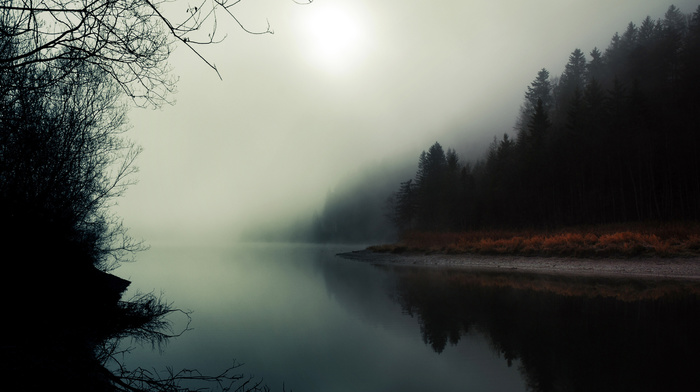 river, reflection, mist, nature, forest