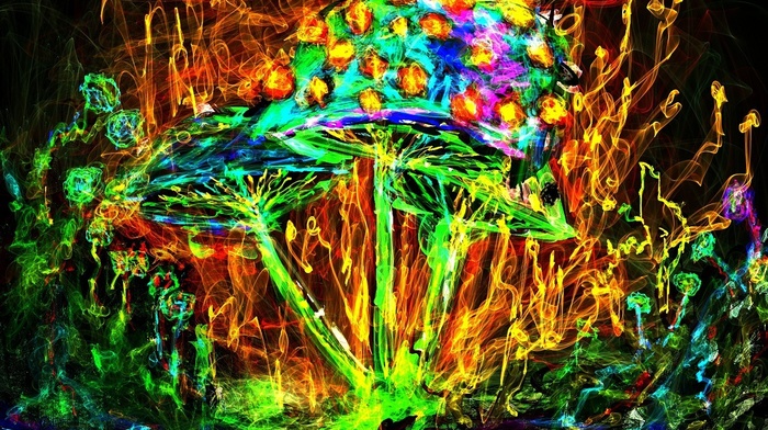 psychedelic, colorful, mushroom