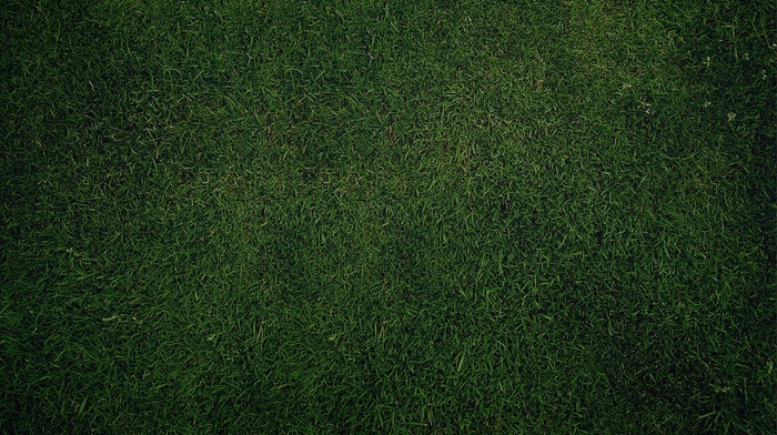 grass, texture, green