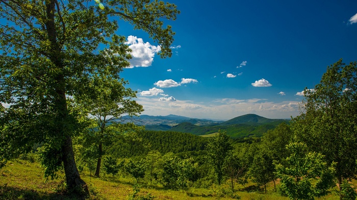 nature