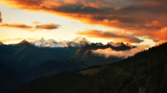 forests, clouds, nature, sunset, sky, Alps, mountain