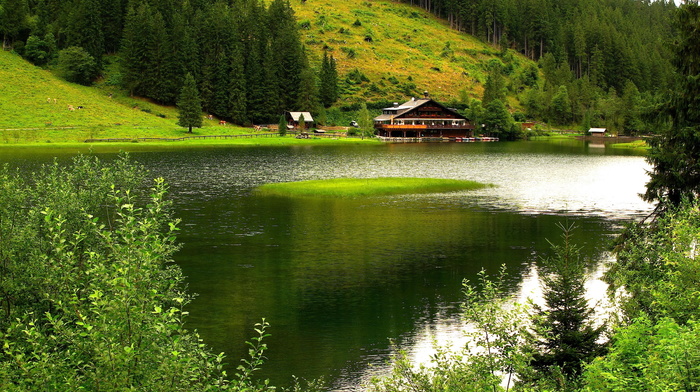 trees, river, nature, mountain, house