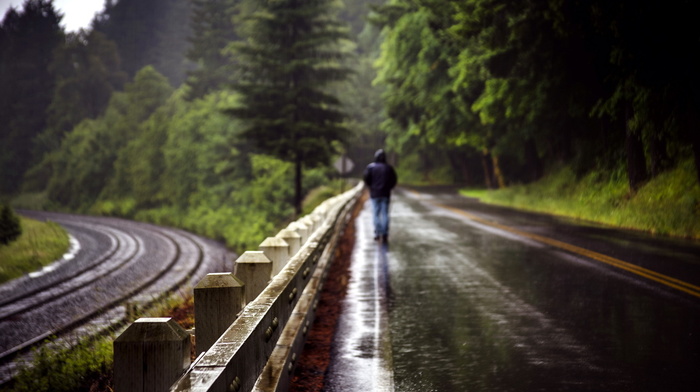 stunner, road, rain, fence