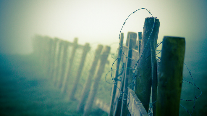 fence, macro, mist