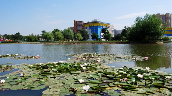 lake, nature, park