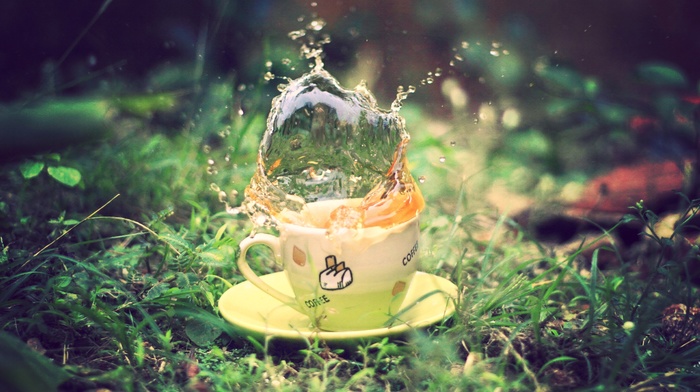 cup, splash, macro, Earth, tea, greenery, grass