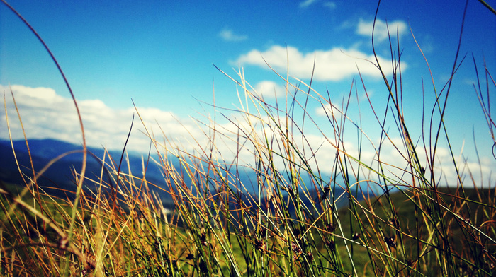 grass, sky, clouds, macro, mountain, summer