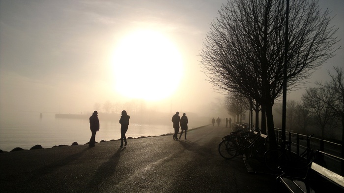 trees, people, mist, sea, stunner, Sun, road