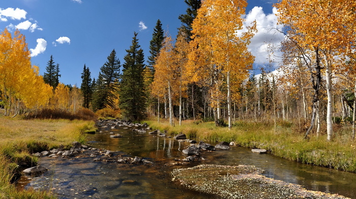 autumn, landscape, forest, river