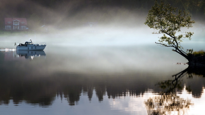 morning, lake, nature, boat, tree, mist