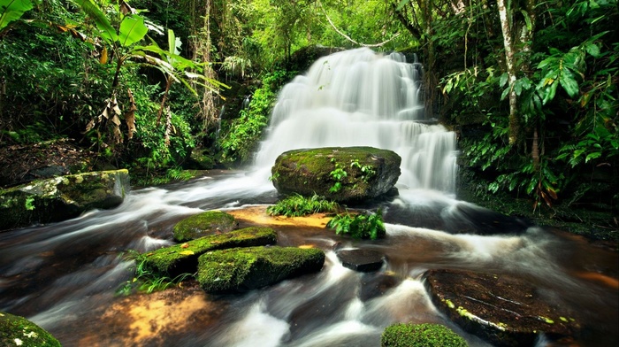 stones, forest, jungle, waterfall, river, nature