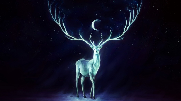 stunner, moon, deer, stars, horns, sky