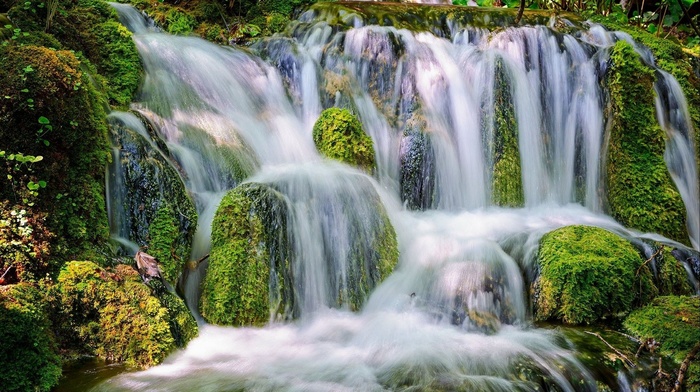 stones, nature, lake, moss, water