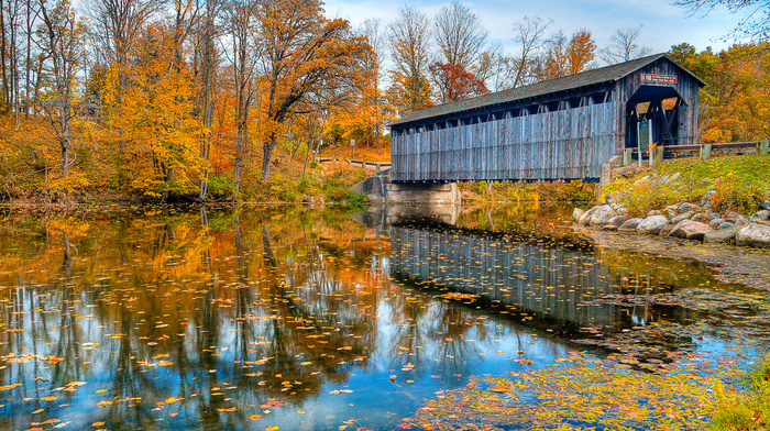 river, autumn, bridge, nature