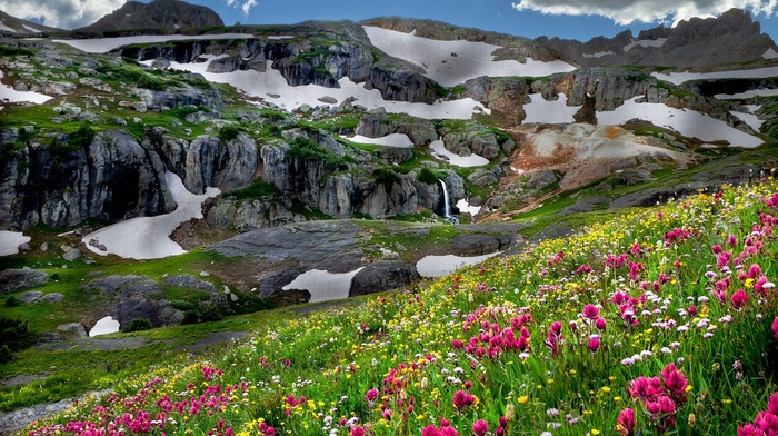 flowers, nature, mountain, glade