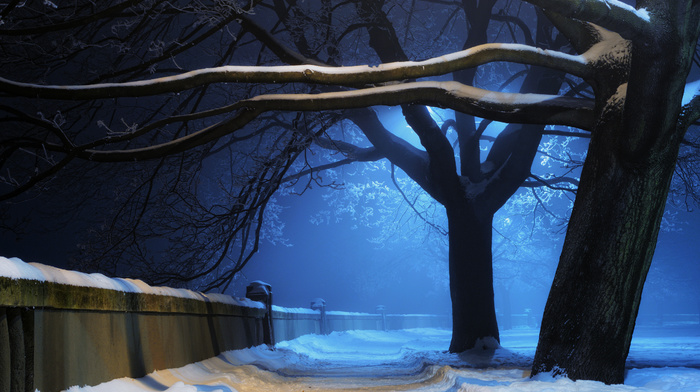 snow, winter, night, nature, light, park, trees