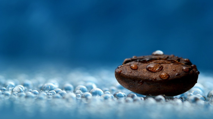 coffee, macro, drops