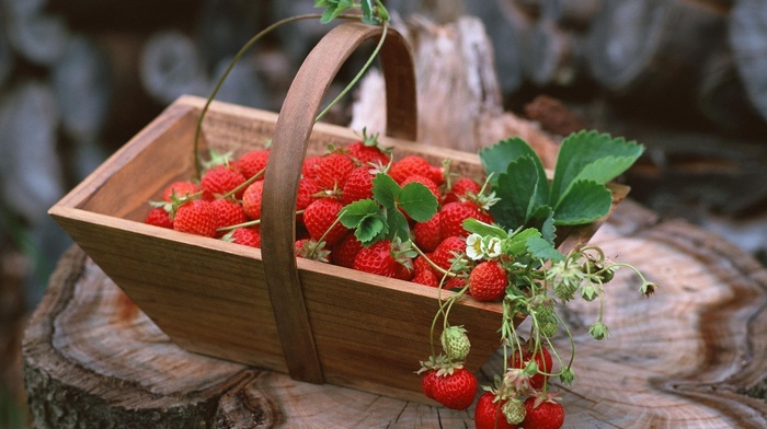 delicious, strawberry, berries, food