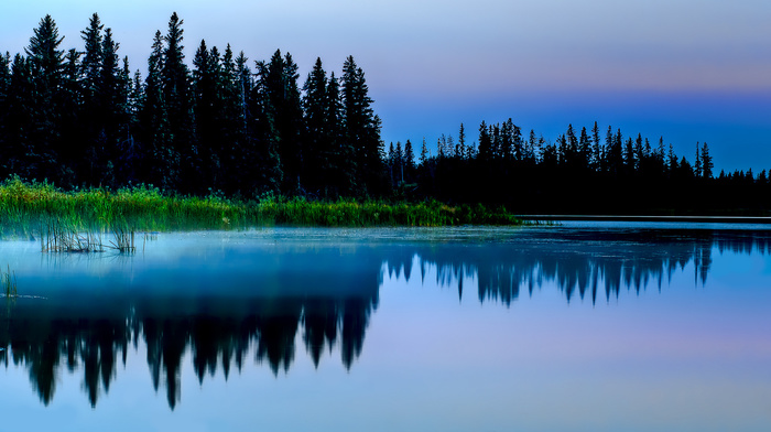 nature, evening, forest, lake