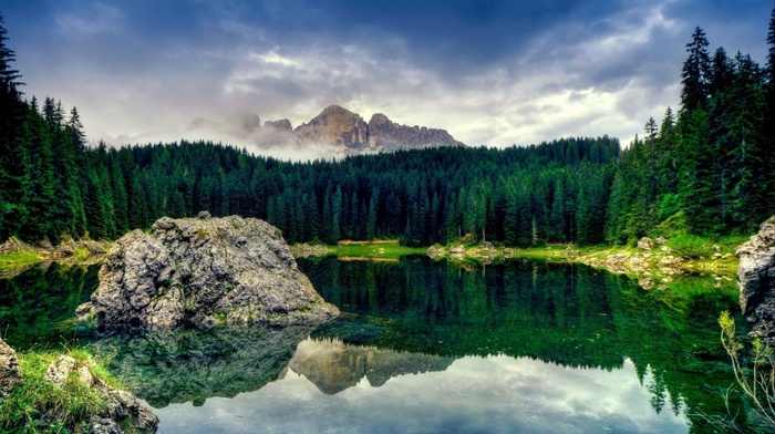 forest, lake, nature, mountain