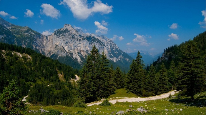 nature, forest, mountain