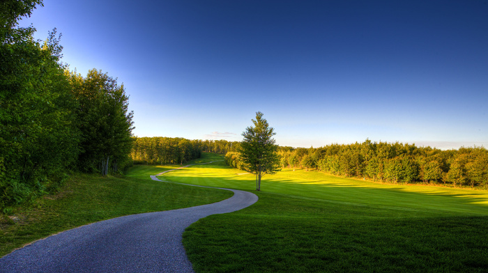 grass, summer, trees, sky, nature