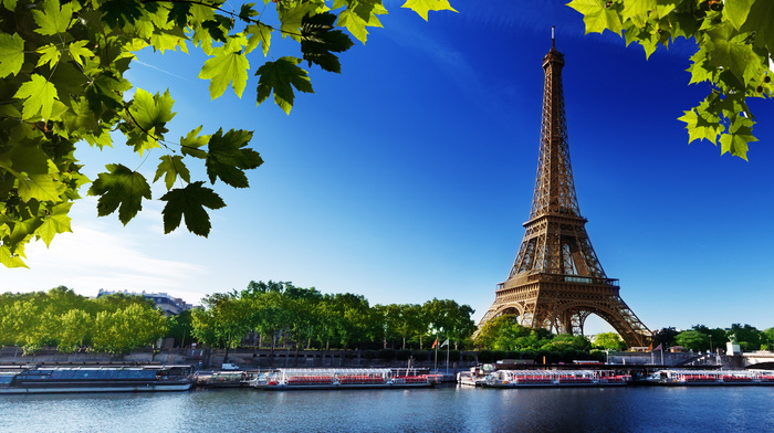 cities, river, Eiffel Tower, summer, leaves, Paris