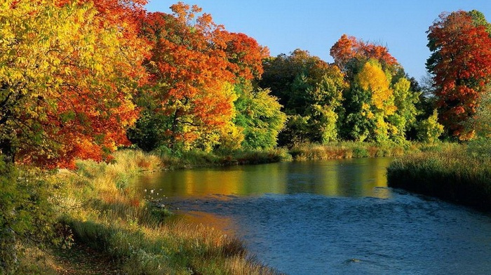 autumn, river, trees, coast