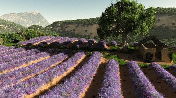 flowers, 3D, field, art