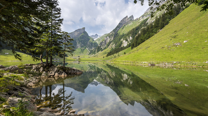 lake, Alps, nature, mountain, forest