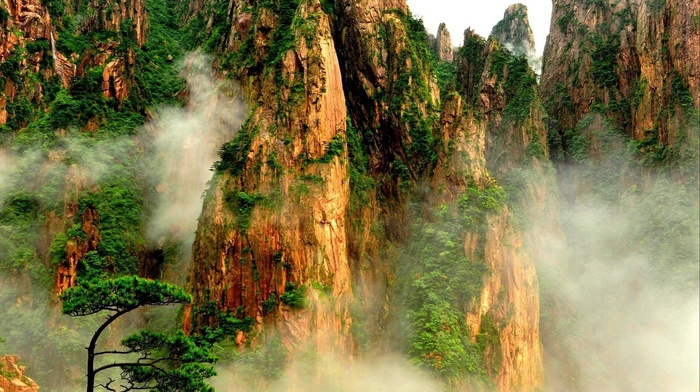 mist, nature, mountain, forest