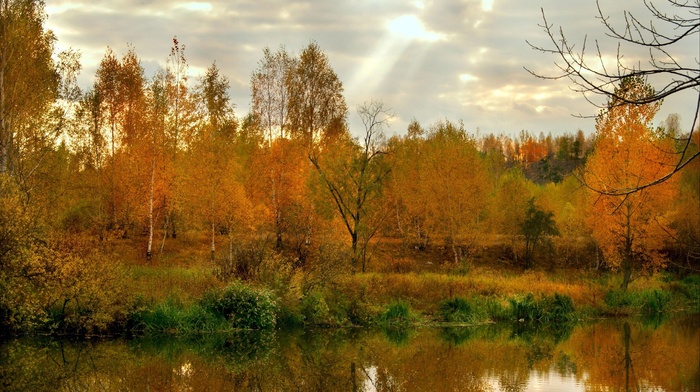 autumn, nature, trees, lake