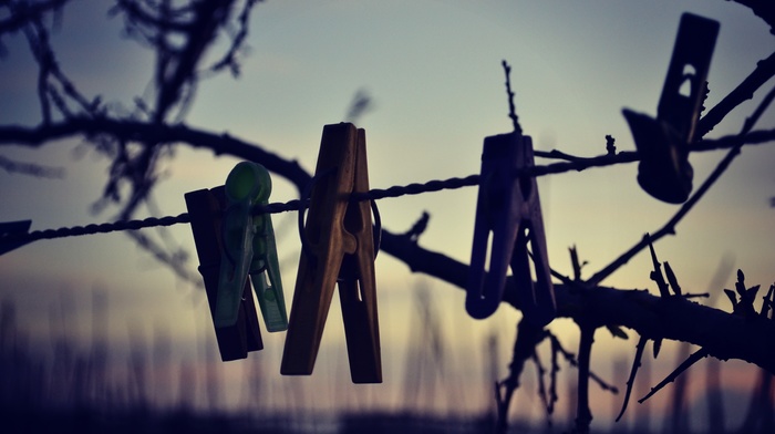 macro