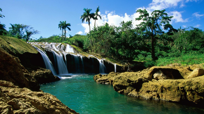 nature, water, trees, sky, summer