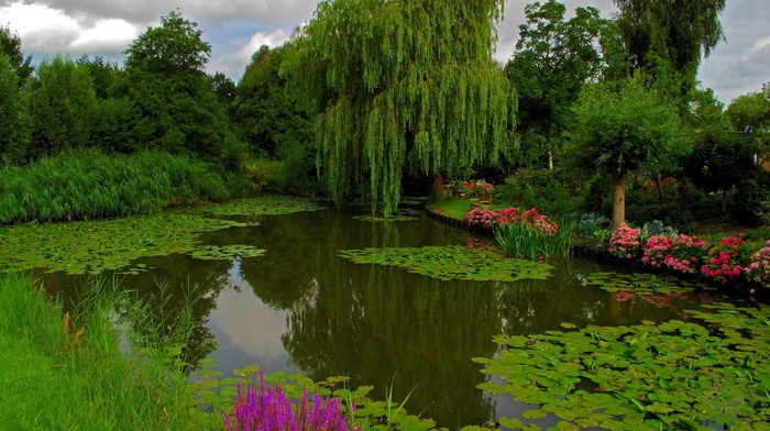 nature