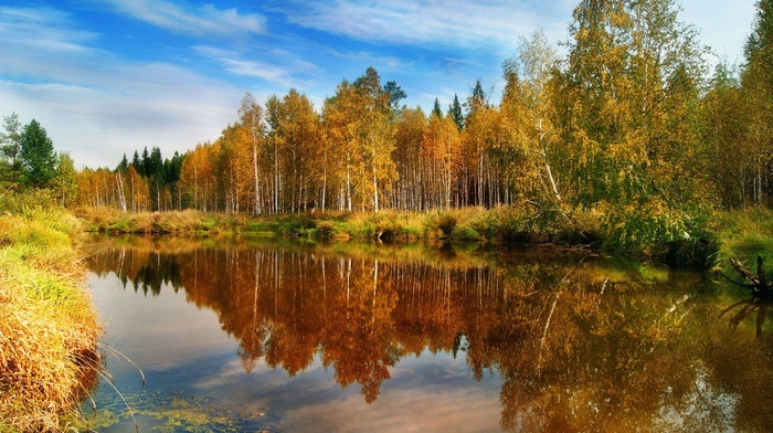 landscape, river, forest, autumn, nature