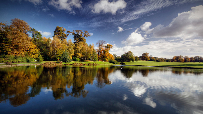 autumn, trees, grass, river, landscape