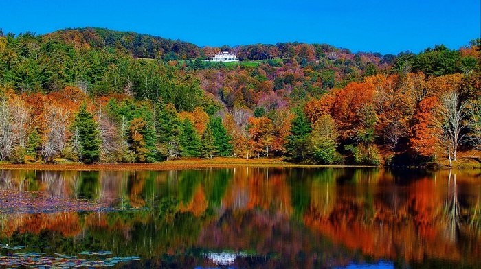 reflection, forest, lake, autumn