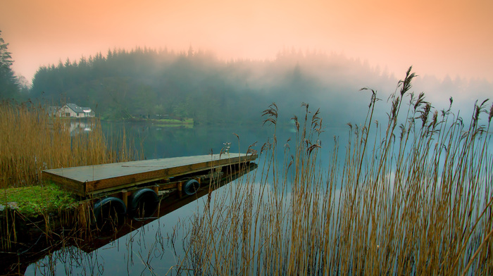 nature, coast, river