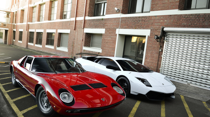 lamborghini, cars