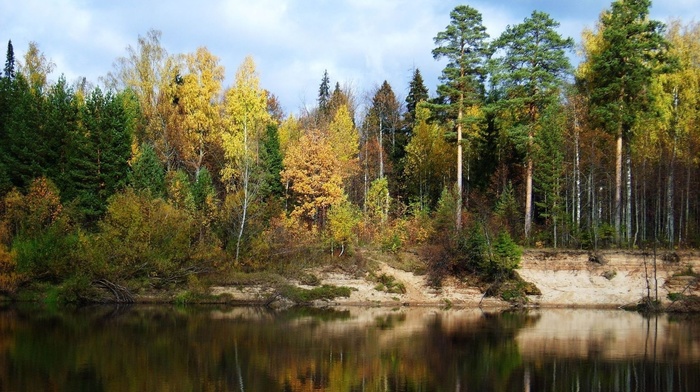 water, trees, autumn